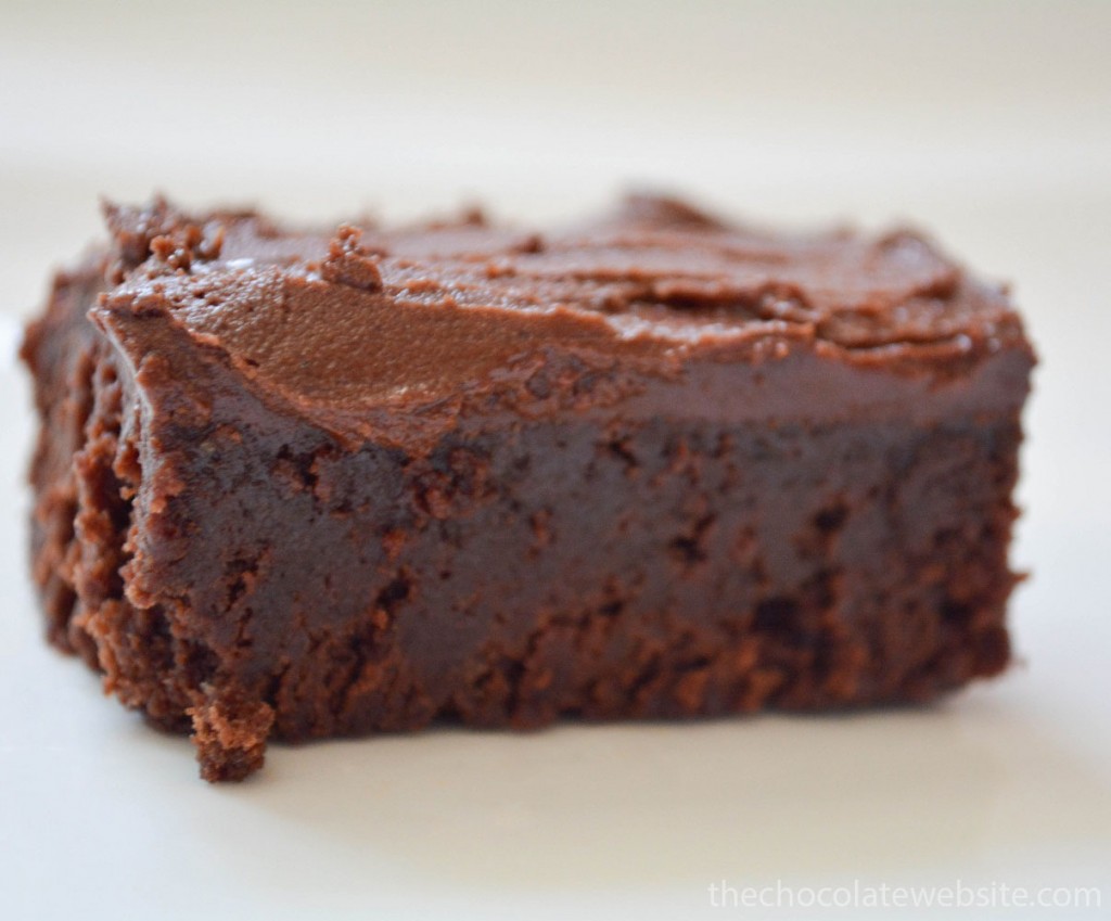 Piece of Whatever Floats Your Boat Brownies with Chocolate Frosting