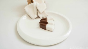 Foods Dipped in Chocolate - Coconut